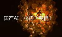 国产AI“小初”亮相！智力媲美人类可自动学习