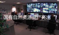 国有自然资源资产亮出“家底”
