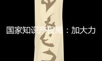 国家知识产权局：加大力度破解知识产权转移转化难题