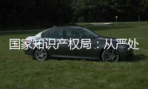 冬残奥会的重要一环