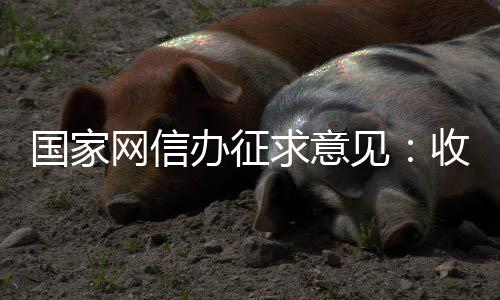 每次驾驶时默认为不收集状态