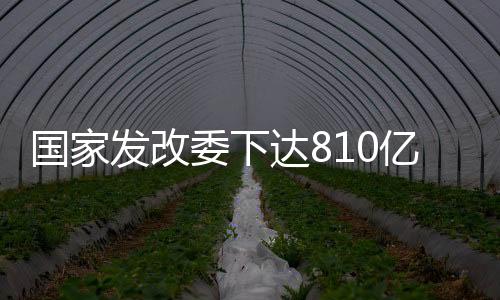 手机等数码产品购新3785.5万件