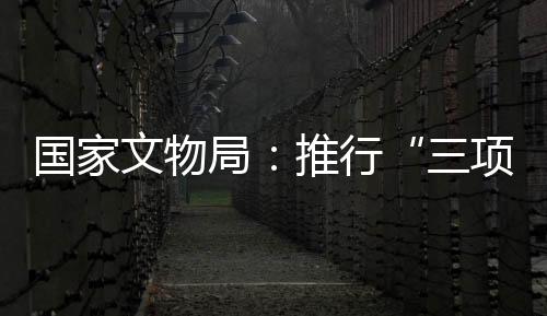 大大提升执法督察的效率