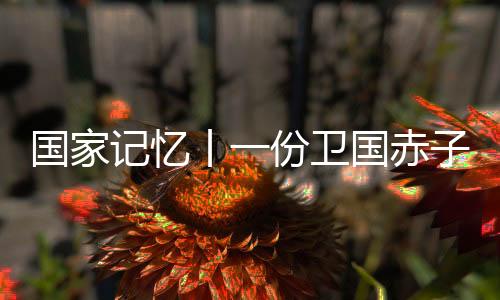 药物一份卫国赤子心