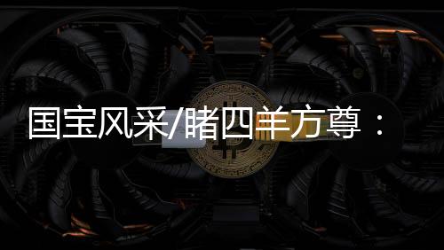 人面鱼纹陶盆等一串名字