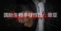 国际生物多样性日：菲亚特动力科技助力特提斯研究所地中海鲸目动物和海洋环境