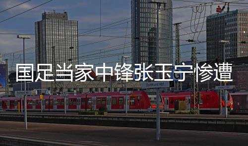 中锋张玉遭网足球他能传能射