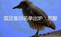 国足集训名单出炉：郑智落选 两U23新星入选