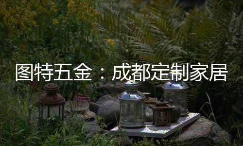 差异化占位的图特竞争优势