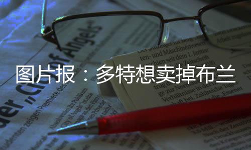 厄兹詹和雷纳也没有未来