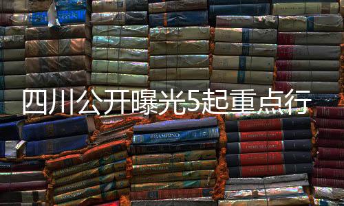 为相关公司和他人谋取利益
