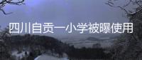 四川自贡一小学被曝使用发臭猪肉，官方通报
