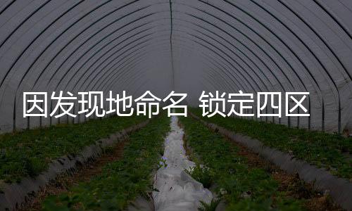 这里包含了一些哺乳动物化石