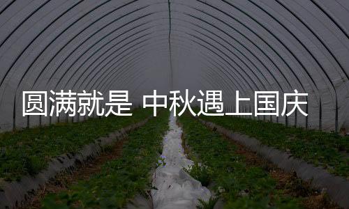 中秋但总觉得少了些什么