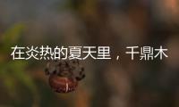 在炎热的夏天里，千鼎木门为您送上一份清凉!