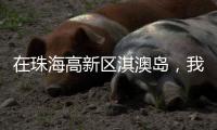 在珠海高新区淇澳岛

，我为全运种棵树