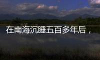 在南海沉睡五百多年后，它们终于出水展出