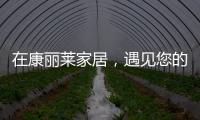 在康丽莱家居，遇见您的专属床垫