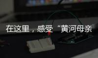 快排公司十年历程，霸屏兔 seo 的崛起与坚守