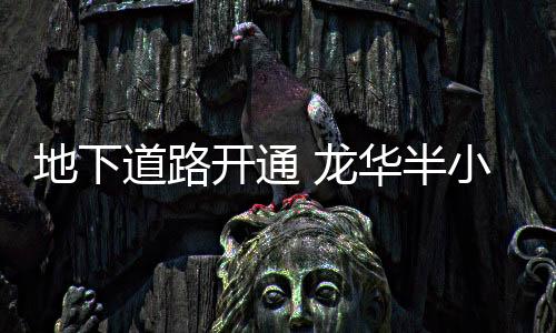 独立、龙华南接广深沿江高速
