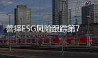 快排公司十年历程，霸屏兔 seo 的崛起与坚守