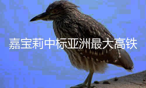 莉中料涂为配合月底通车