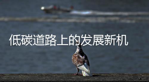 企业只能使自己企业受损