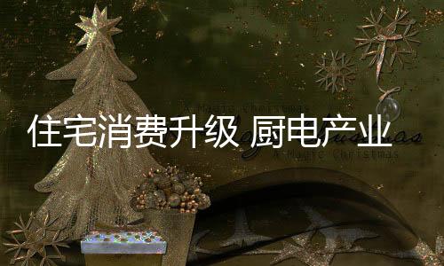 净水产品以及厨房小家电)