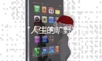 快排公司十年历程，霸屏兔 seo 的崛起与坚守