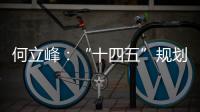 何立峰
：“十四五”规划纲要草案指标就像“奋力一跳可以摘到的树上的桃子”