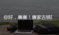 你好
，唐唐
！唐家古镇IP形象创意征集赛结果揭晓→