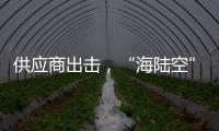 快排公司十年历程，霸屏兔 seo 的崛起与坚守
