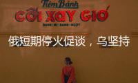 俄短期停火促谈�，乌坚持30天停火