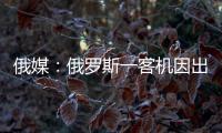 俄媒：俄罗斯一客机因出现技术故障返航