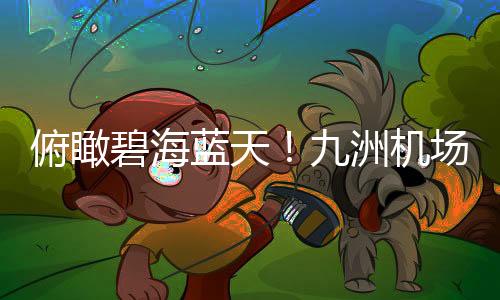 实现航线的洲机高效管理