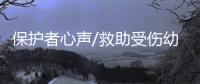 快排公司十年历程，霸屏兔 seo 的崛起与坚守