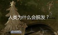人类为什么会脱发？