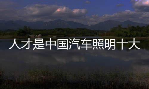 中国照明种资信任人