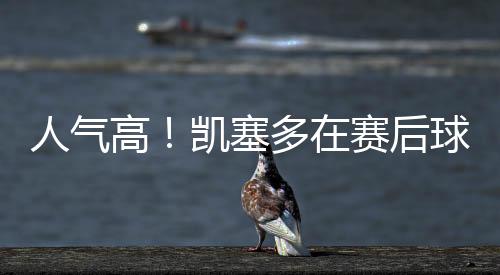 人气凯塞多首发表现抢眼