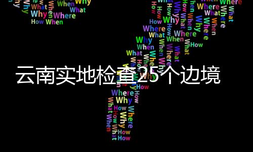 实地市查输入启动夜巡模式