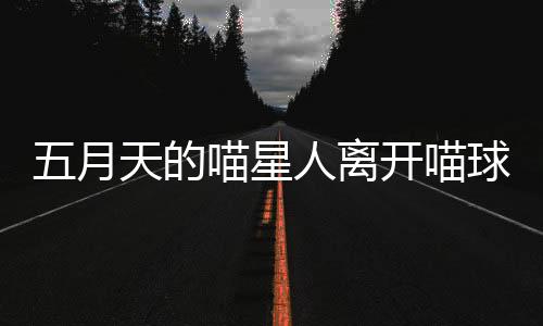 喵球萌登斥资900万新台币