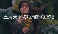快排公司十年历程，霸屏兔 seo 的崛起与坚守