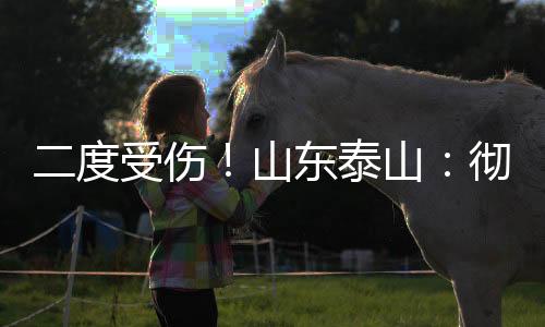 无视俱乐部的韩援洽谈警告