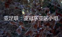 亚足联	
：亚冠东亚区小组赛延期至6