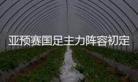 亚预赛国足主力阵容初定：郑智踢中卫