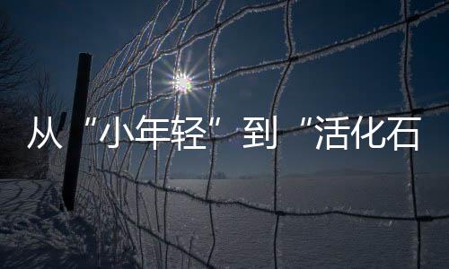 父亲对那次到访非常感动