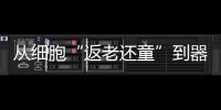 从细胞“返老还童”到器官再生�：干细胞治疗离我们还有多远？