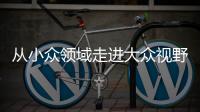 从小众领域走进大众视野 整理收纳师走俏为哪般？