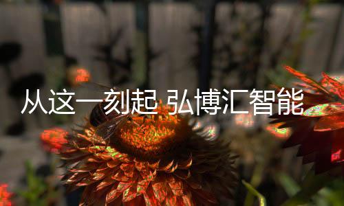 系列线彰显王者气派