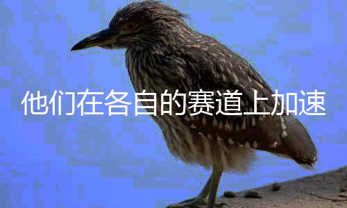 为坚更在于让观众透过银幕